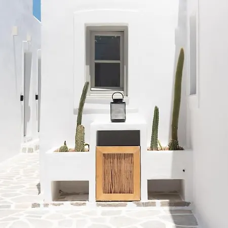 Apartman Swell S12 New In