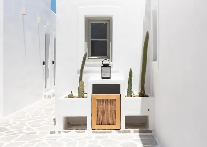 Appartamento Swell S12 New In