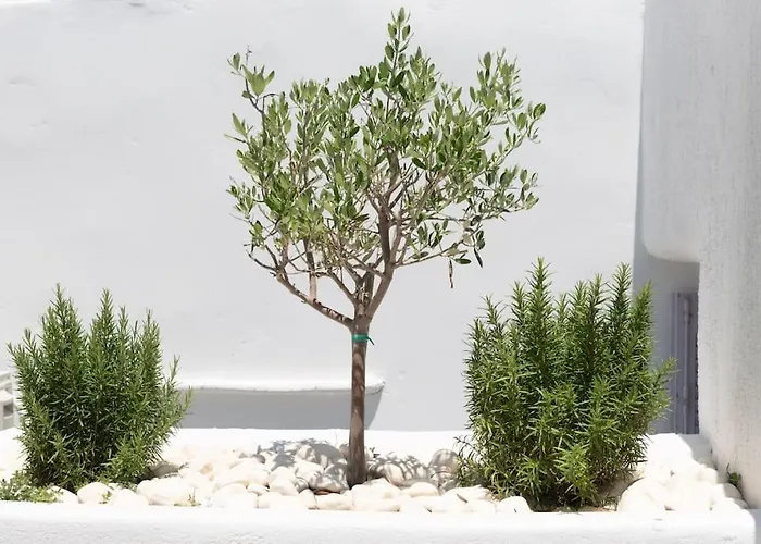 Swell S12 New In Appartamento